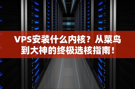 VPS安装什么内核？从菜鸟到大神的终极选核指南！