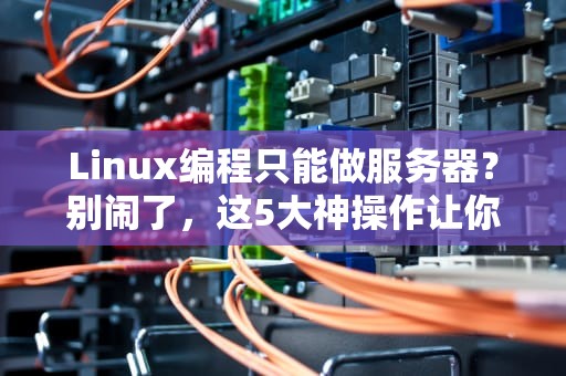 Linux编程只能做服务器？别闹了，这5大神操作让你大开眼界！