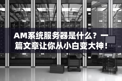 AM系统服务器是什么？一篇文章让你从小白变大神！