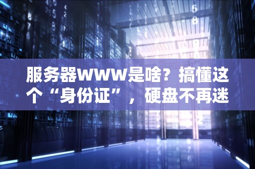 服务器WWW是啥？搞懂这个“身份证”，硬盘不再迷路！