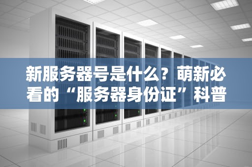 新服务器号是什么？萌新必看的“服务器身份证”科普指南！