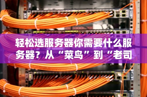 轻松选服务器你需要什么服务器？从“菜鸟”到“老司机”的终极指南！