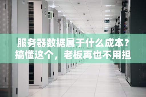 服务器数据属于什么成本？搞懂这个，老板再也不用担心我乱花钱了！