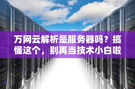 万网云解析是服务器吗？搞懂这个，别再当技术小白啦！
