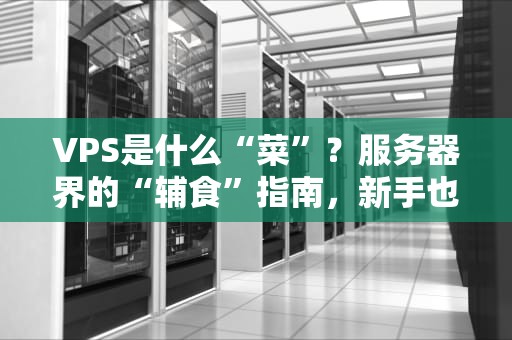 VPS是什么“菜”？服务器界的“辅食”指南，新手也能吃到撑！