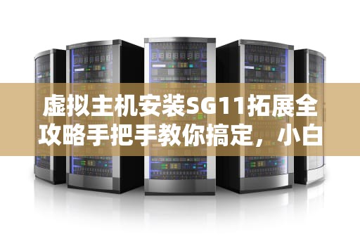 虚拟主机安装SG11拓展全攻略手把手教你搞定，小白也能变大神！