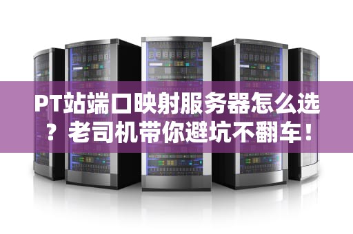 PT站端口映射服务器怎么选？老司机带你避坑不翻车！