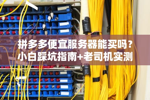 拼多多便宜服务器能买吗？小白踩坑指南+老司机实测！