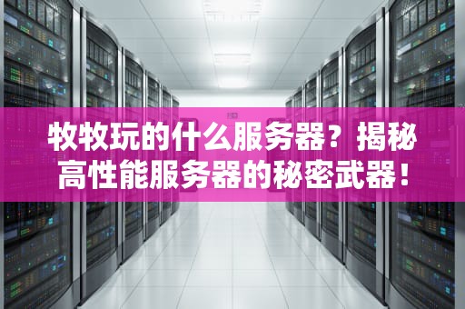 牧牧玩的什么服务器？揭秘高性能服务器的秘密武器！