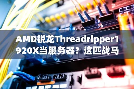 AMD锐龙Threadripper1920X当服务器？这匹战马能拉得动企业级大车吗？