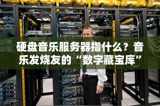 硬盘音乐服务器指什么？音乐发烧友的“数字藏宝库”大揭秘！