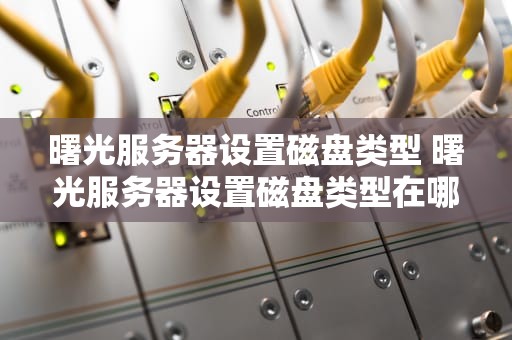 曙光服务器设置磁盘类型 曙光服务器设置磁盘类型在哪