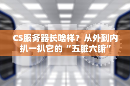 CS服务器长啥样？从外到内扒一扒它的“五脏六腑”