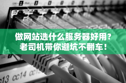 做网站选什么服务器好用？老司机带你避坑不翻车！