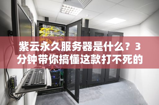 紫云永久服务器是什么？3分钟带你搞懂这款打不死的小强！