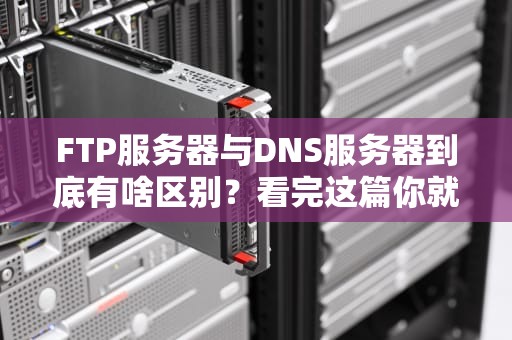 FTP服务器与DNS服务器到底有啥区别？看完这篇你就懂了！