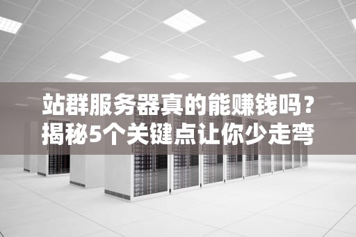 站群服务器真的能赚钱吗？揭秘5个关键点让你少走弯路！