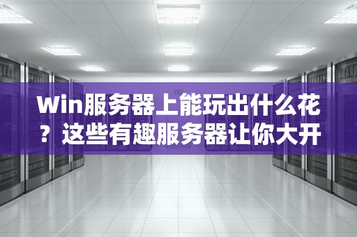 Win服务器上能玩出什么花？这些有趣服务器让你大开眼界！