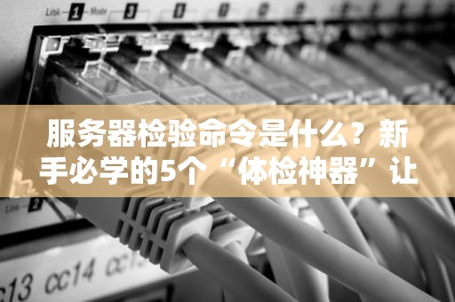 服务器检验命令是什么？新手必学的5个“体检神器”让你秒变运维老司机！