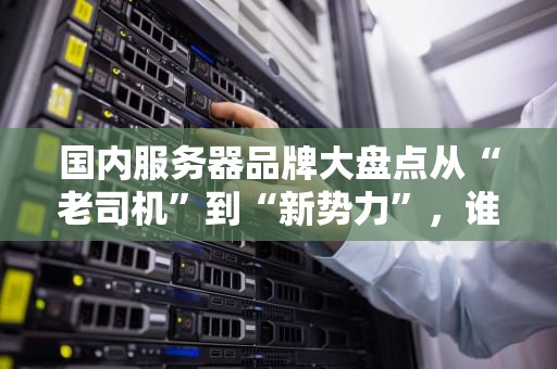 国内服务器品牌大盘点从“老司机”到“新势力”，谁才是你的菜？