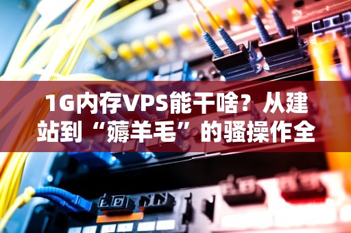 1G内存VPS能干啥？从建站到“薅羊毛”的骚操作全解析！