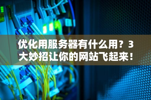 优化用服务器有什么用？3大妙招让你的网站飞起来！