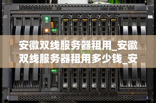 安徽双线服务器租用_安徽双线服务器租用多少钱_安徽双线服务器租用的全面解析
