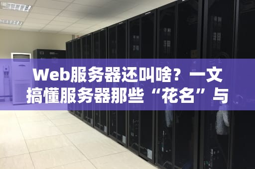Web服务器还叫啥？一文搞懂服务器那些“花名”与门道