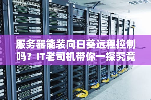 服务器能装向日葵远程控制吗？IT老司机带你一探究竟！