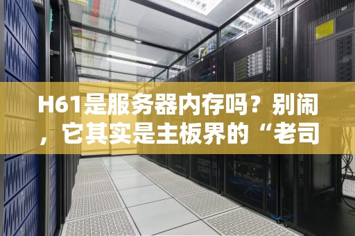 H61是服务器内存吗？别闹，它其实是主板界的“老司机”！