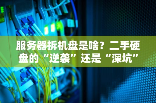 服务器拆机盘是啥？二手硬盘的“逆袭”还是“深坑”？老司机带你避雷！