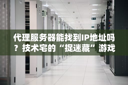 代理服务器能找到IP地址吗？技术宅的“捉迷藏”游戏全解析！