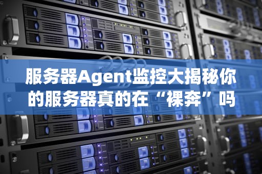 服务器Agent监控大揭秘你的服务器真的在“裸奔”吗？