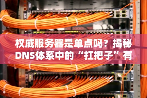 权威服务器是单点吗？揭秘DNS体系中的“扛把子”有多稳！
