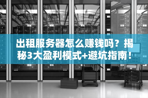 出租服务器怎么赚钱吗？揭秘3大盈利模式+避坑指南！