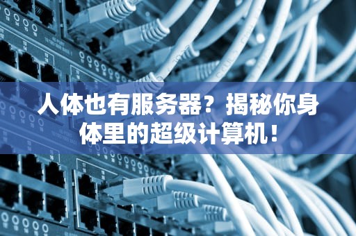 人体也有服务器？揭秘你身体里的超级计算机！