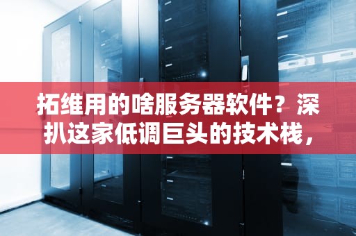 拓维用的啥服务器软件？深扒这家低调巨头的技术栈，网友直呼内行！