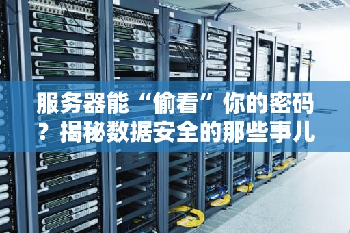 服务器能“偷看”你的密码？揭秘数据安全的那些事儿！