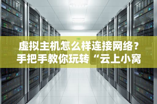 虚拟主机怎么样连接网络？手把手教你玩转“云上小窝”！
