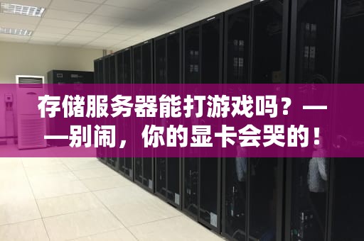 存储服务器能打游戏吗？——别闹，你的显卡会哭的！