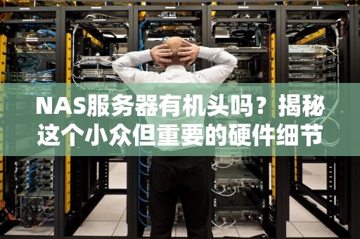 NAS服务器有机头吗？揭秘这个小众但重要的硬件细节！