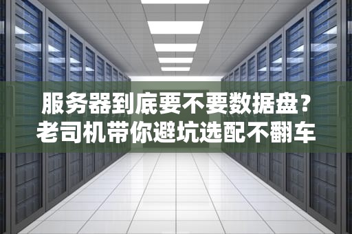 服务器到底要不要数据盘？老司机带你避坑选配不翻车！