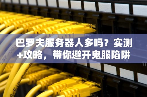 巴罗夫服务器人多吗？实测+攻略，带你避开鬼服陷阱！