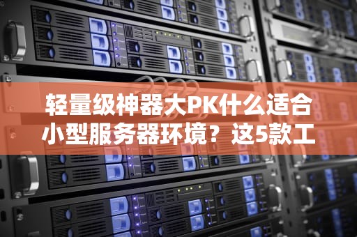 轻量级神器大PK什么适合小型服务器环境？这5款工具让你省心又省钱！