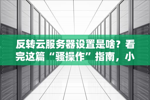 反转云服务器设置是啥？看完这篇“骚操作”指南，小白也能变大神！