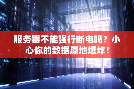 服务器不能强行断电吗？小心你的数据原地爆炸！