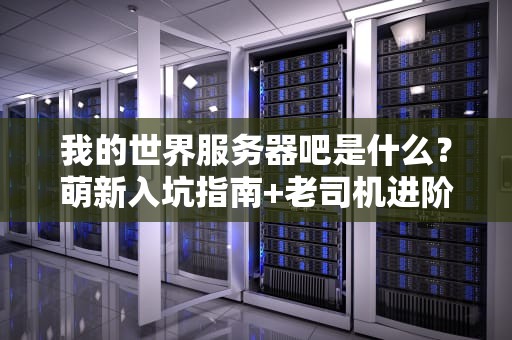 我的世界服务器吧是什么？萌新入坑指南+老司机进阶攻略！