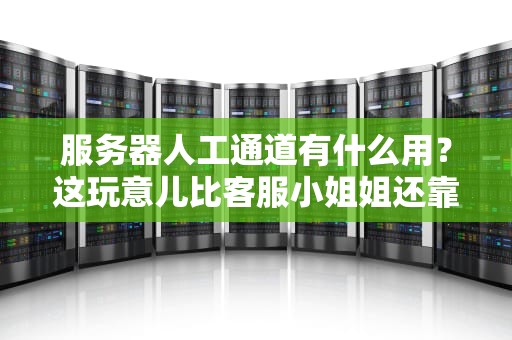 服务器人工通道有什么用？这玩意儿比客服小姐姐还靠谱！