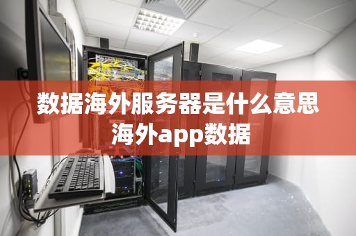数据海外服务器是什么意思 海外app数据