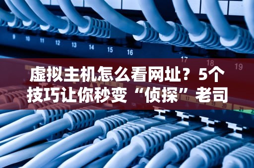 虚拟主机怎么看网址？5个技巧让你秒变“侦探”老司机！